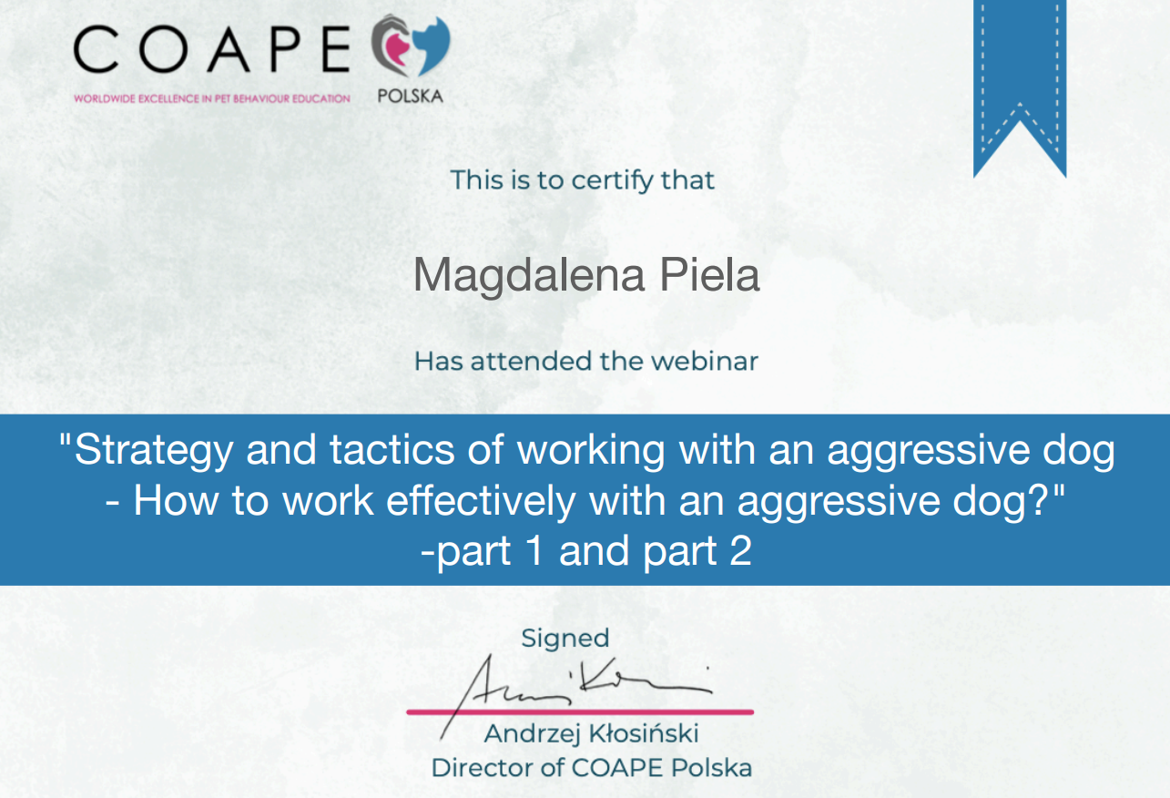 Certificate Think Dog COAPE