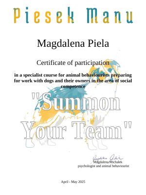 Certyficate PM Druzyna ENG-1